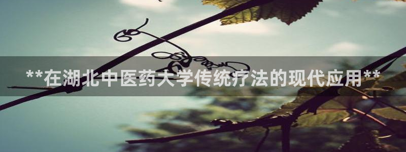 九游会官网登录首页|首页