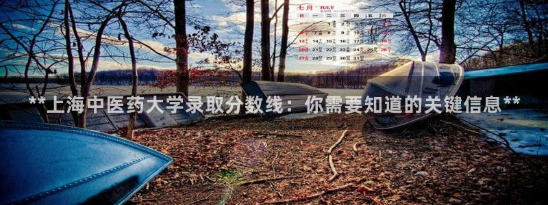 九游会直营