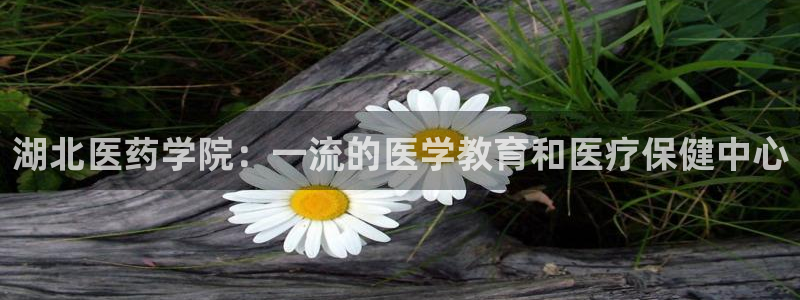 九游会官网可靠的