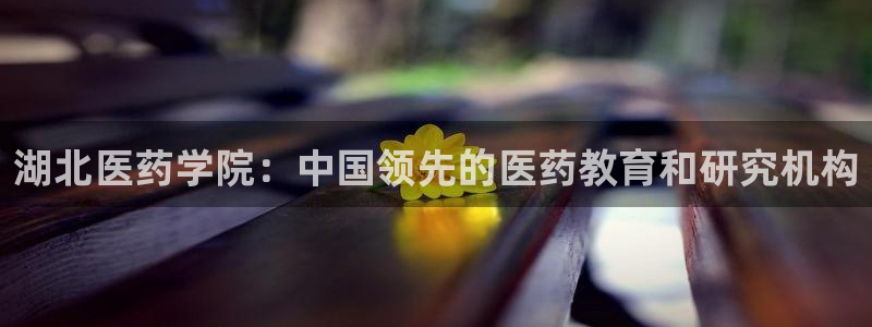 九游会j9官网网站