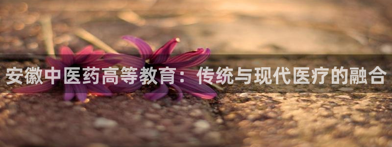 九游会 网址