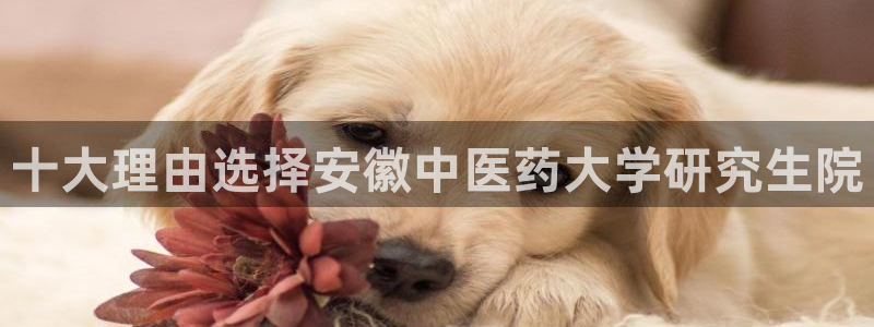 九游会平台入口
