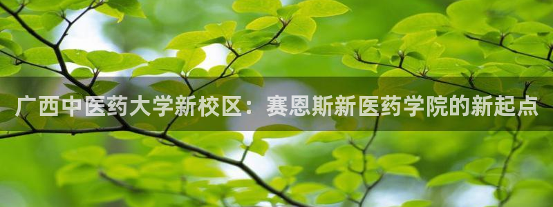 九游会是干嘛的软件