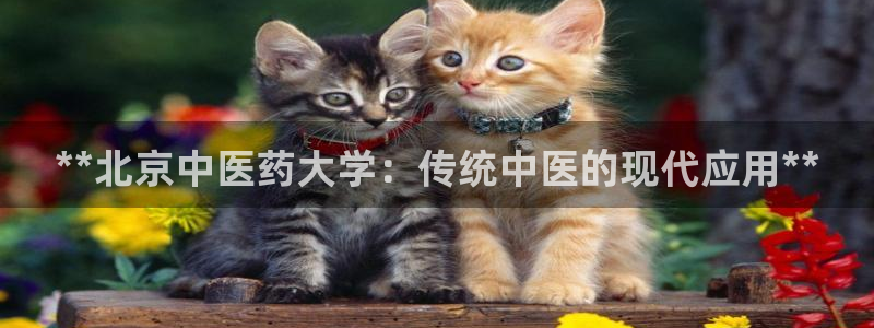 九游会老哥俱乐部必备的交流社区