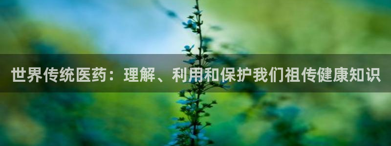 九游会登录网站