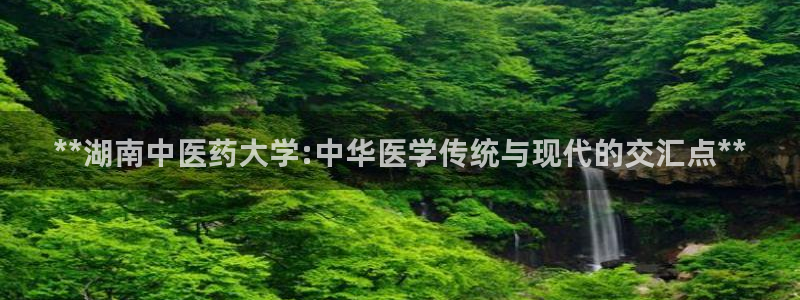 九游会国际厅