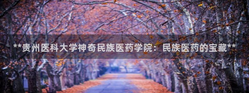 九游会平台登陆
