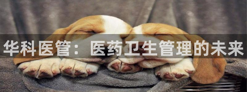 九游会官网网址是多少