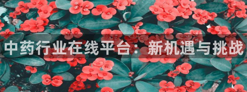 j9九游会入口j9