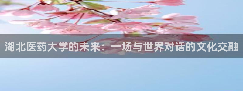 九游会AG下载手机端