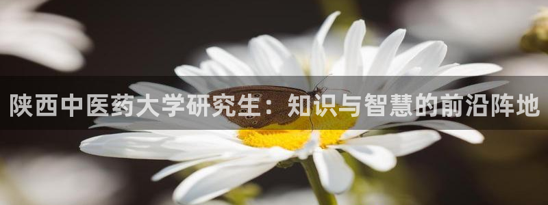 j9官网豪华游