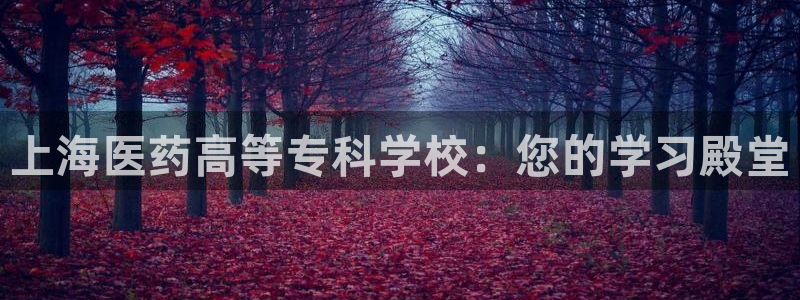 九游j9会