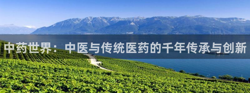 j9九游会中国