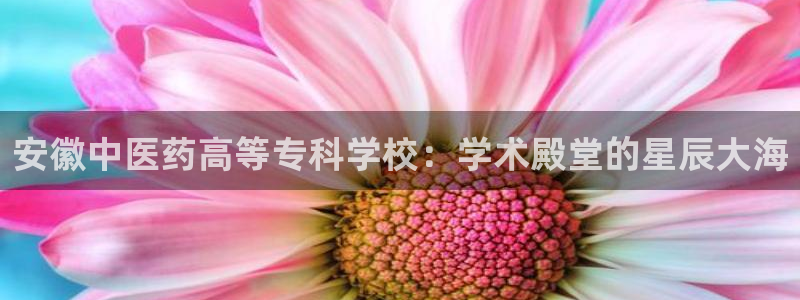 九游会官方