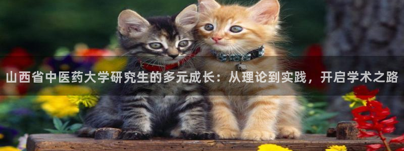 usdt九游会老哥俱乐部