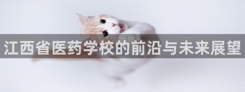 登陆九游会