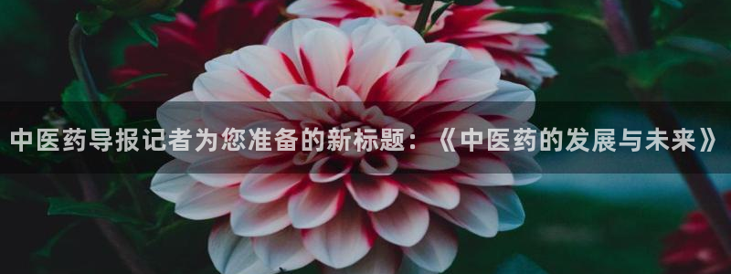 J9九游会登录入口首页旧版