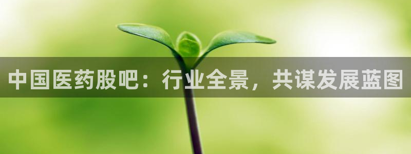 j9九游会网址是什么