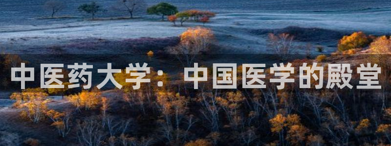 九游会怎么提币