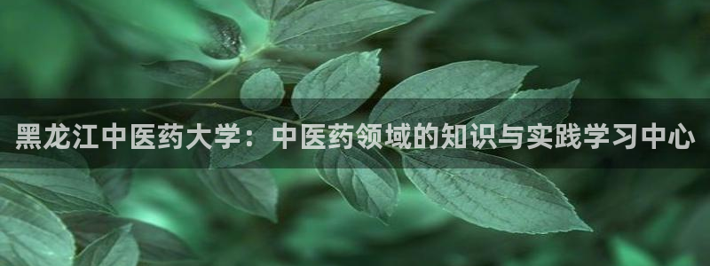 九游会网站登录