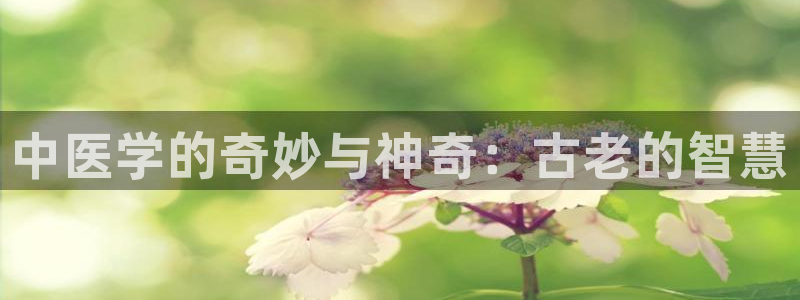 九游会官网ag