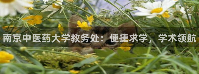 九游会官方旗舰店