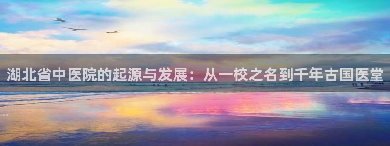 J9九游会九游国际版