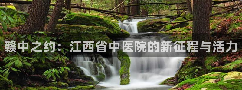 九游会在：赣中之约：