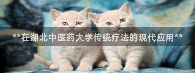 j9九游会官方网站国际怎么样