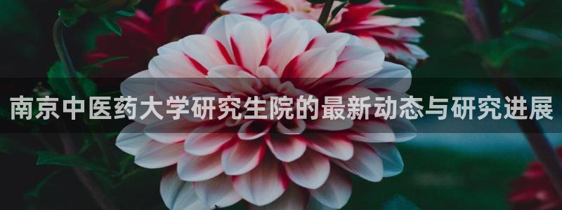 九游会中国入口嘛