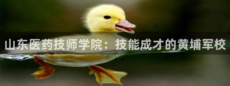 九游会是什么组织