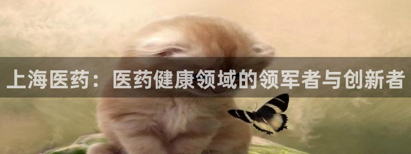 j9九游会真人手机版